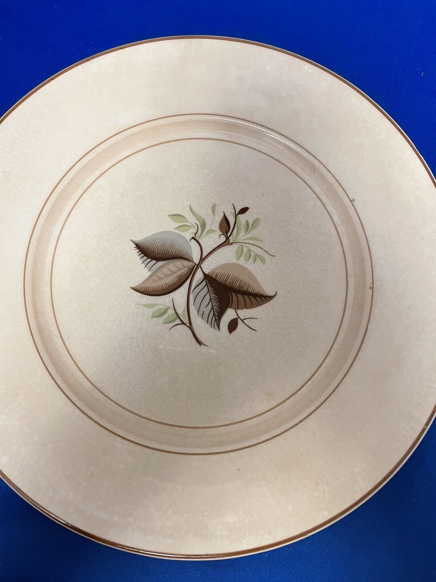 the bristol china company made in england
