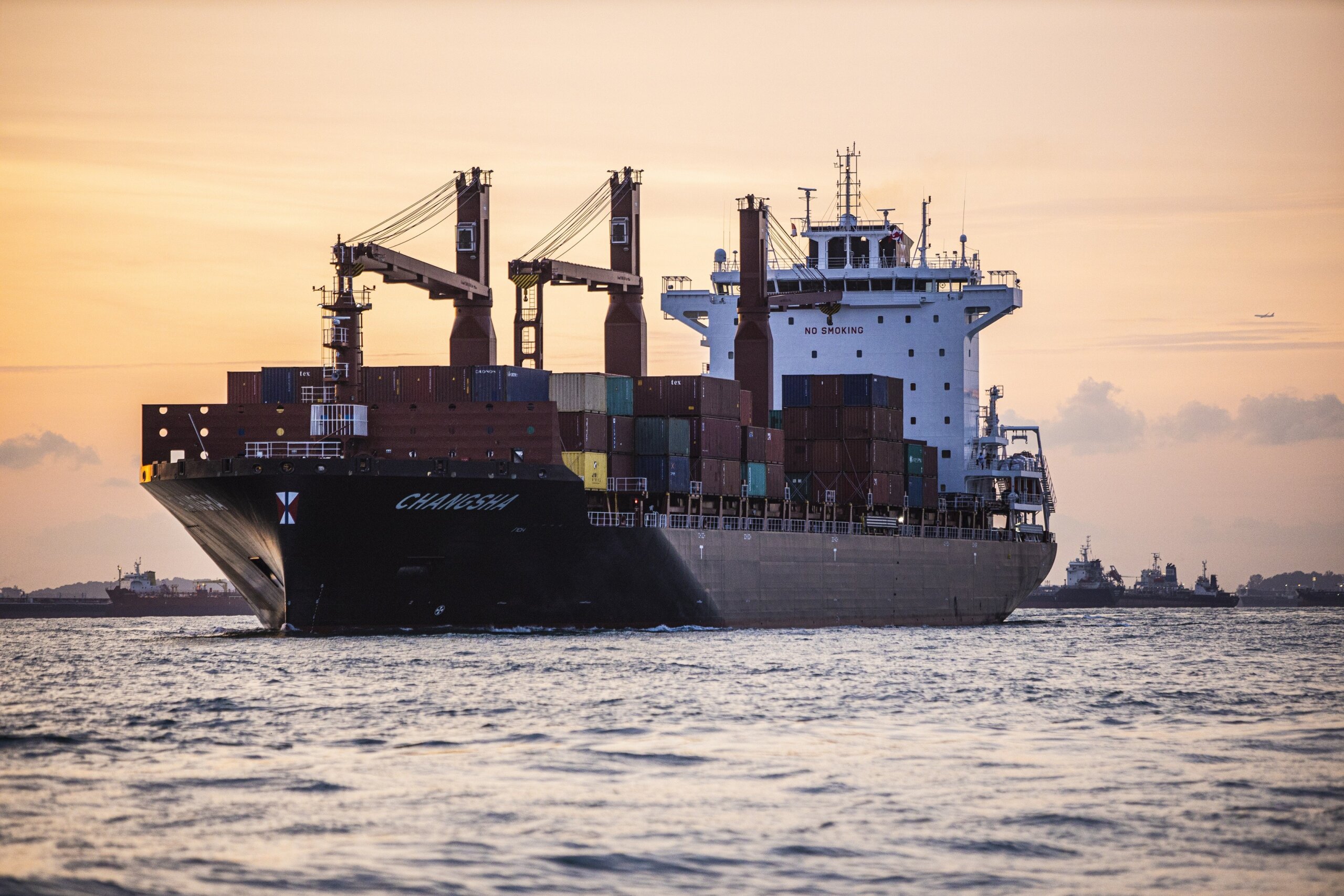 the china navigation company pte limited