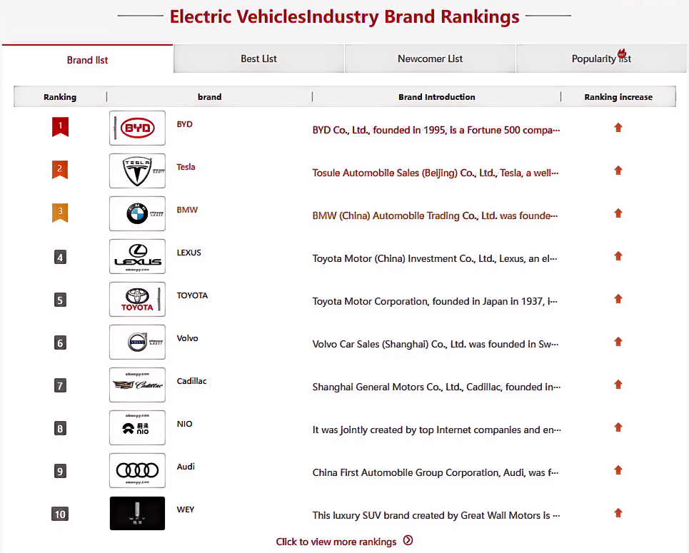 top ten electric car companies in china