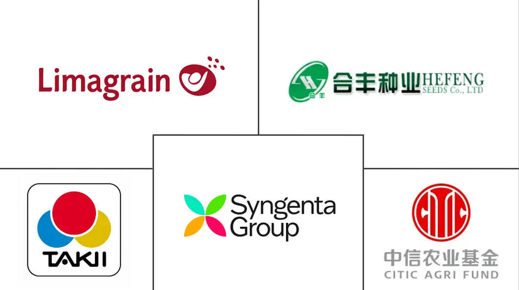 vegetable seeds companies in china China Factory