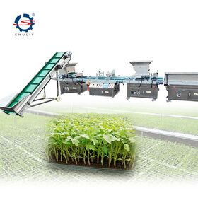vegetable seeds companies in china