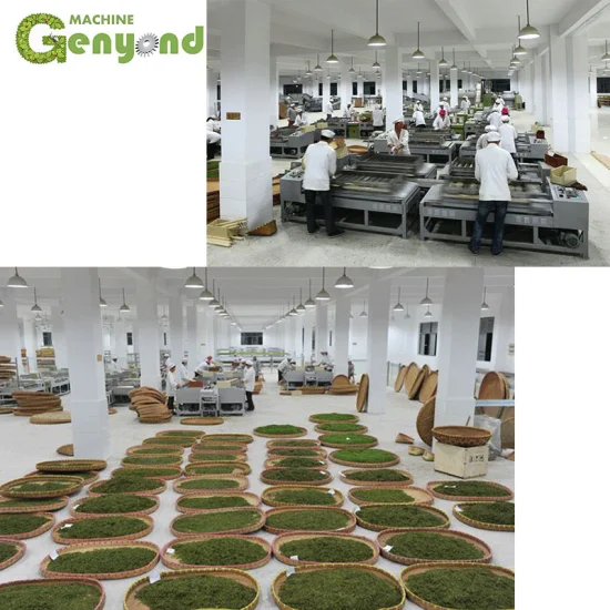 west china tea company