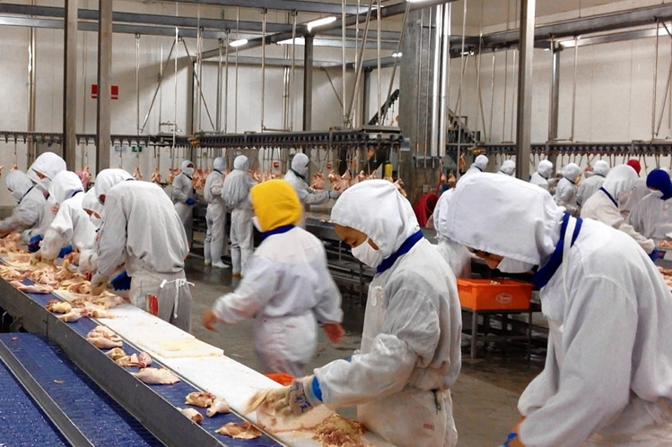 what chicken companies are owned by china