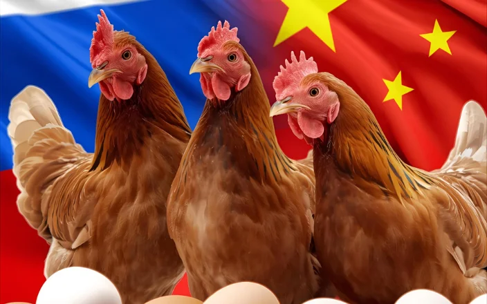 what companies import chicken from china