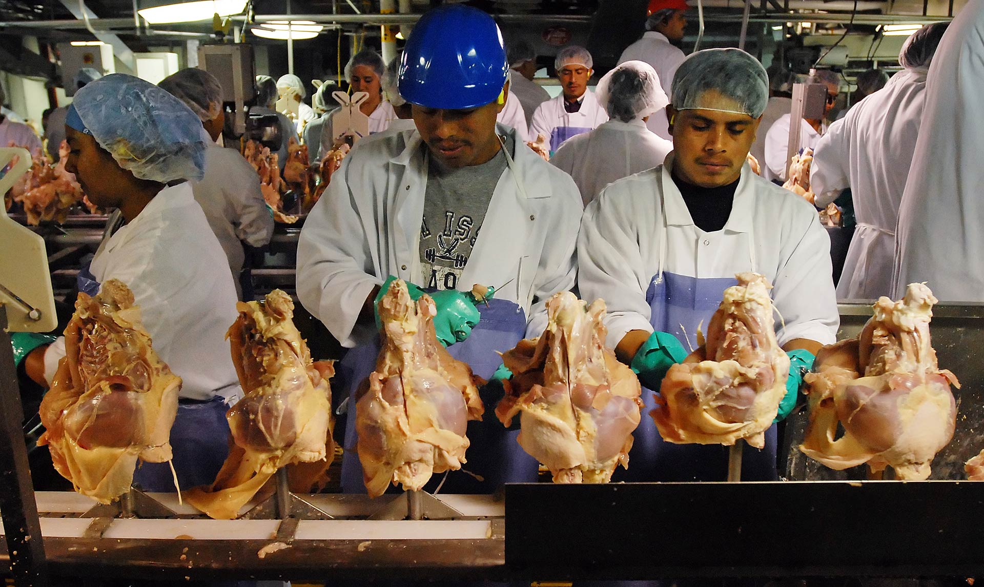 what companies send chicken to china for processing