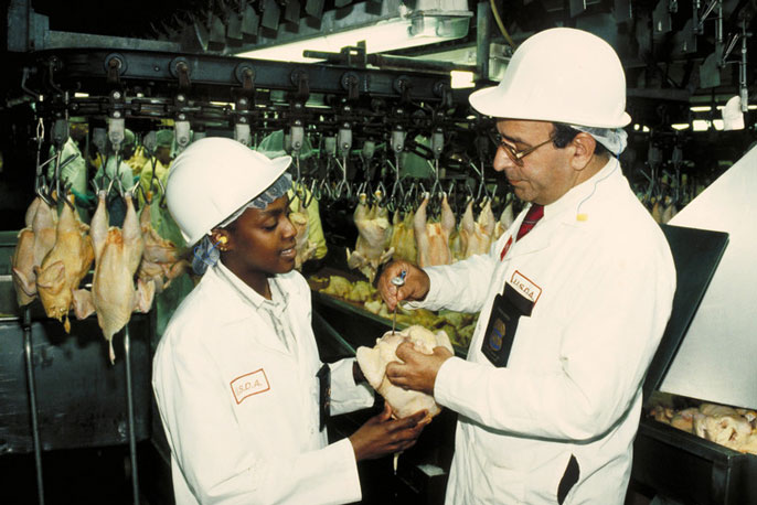 what companies send chicken to china for processing