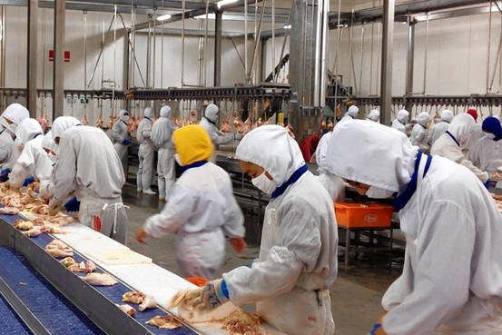 what companies send their chicken to china for processing China Factory