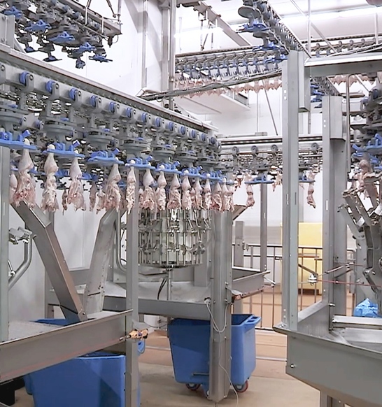 what companies send their chicken to china for processing