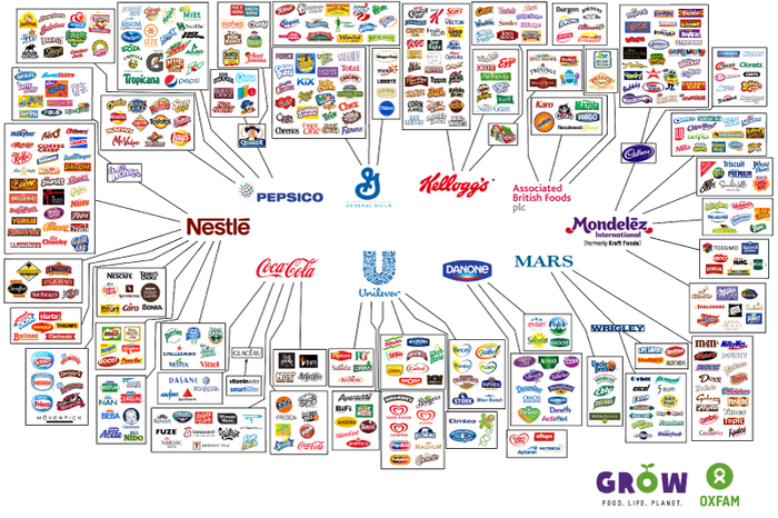 which food companies are owned by china