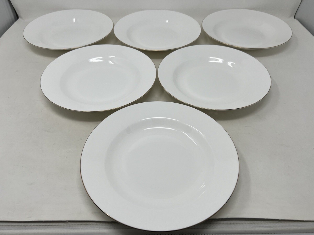 white china dinner plates bulk