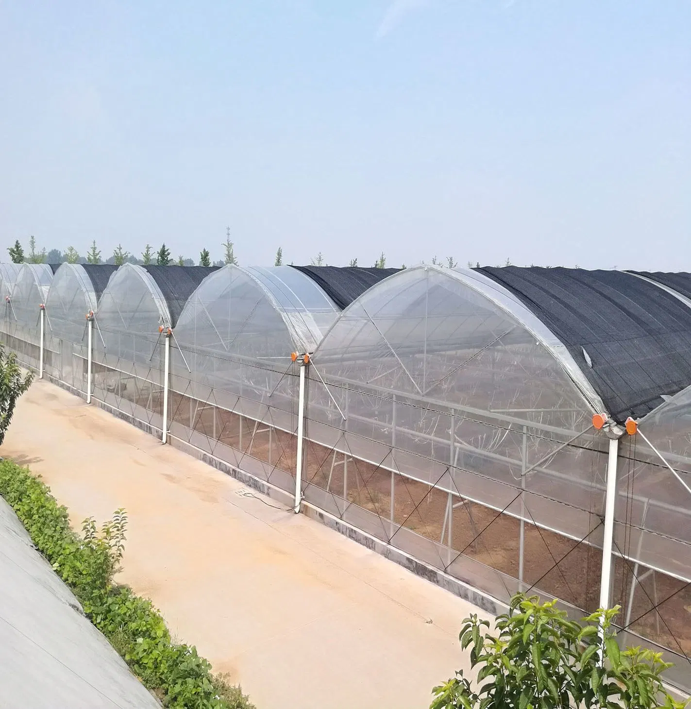 wholesale china arch greenhouse