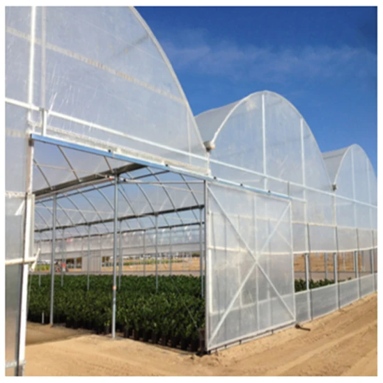 wholesale china arch greenhouse