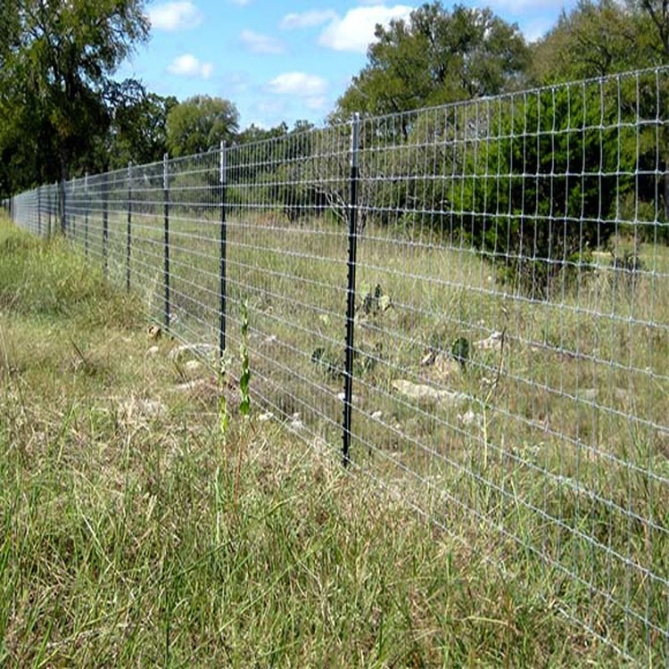wholesale china metal t bar fence post price China Factory