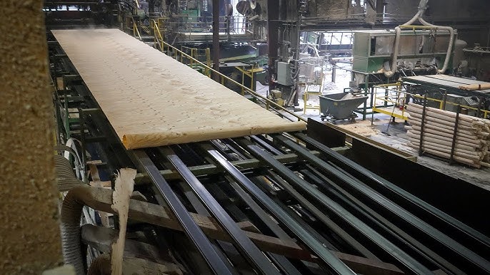 5X8 Plywood industry insight