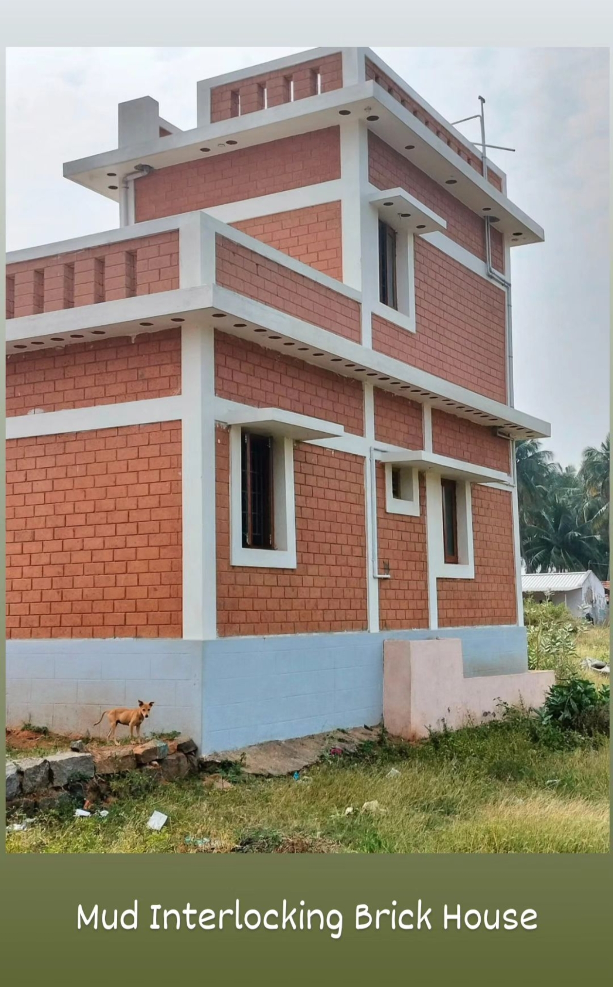 8 Inch interlocking brick