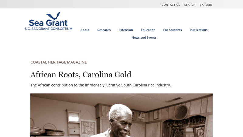 African Roots, Carolina Gold