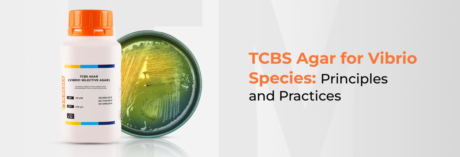 Agar Tcbs industry insight