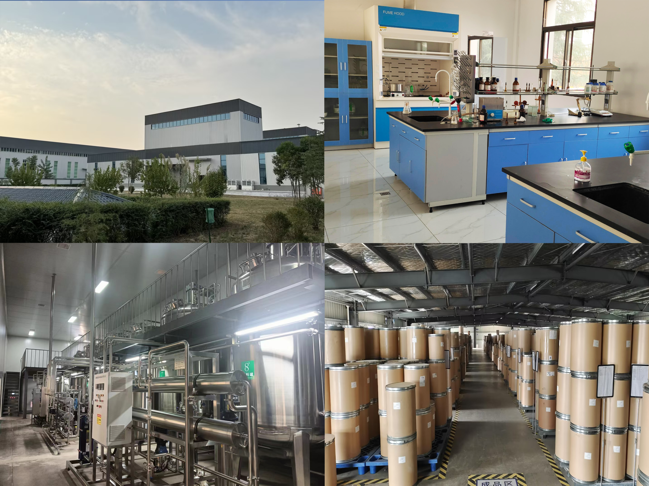 Alginato De Sodio industry insight