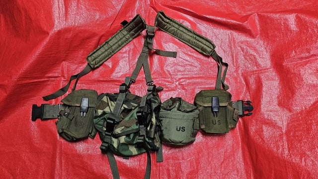 Alice Webbing industry insight