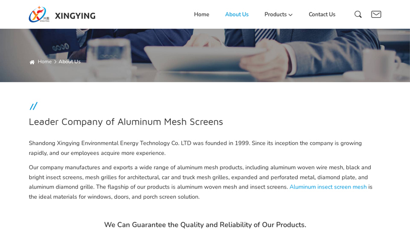 Aluminum Mesh Screen Manufacturer and Exporter