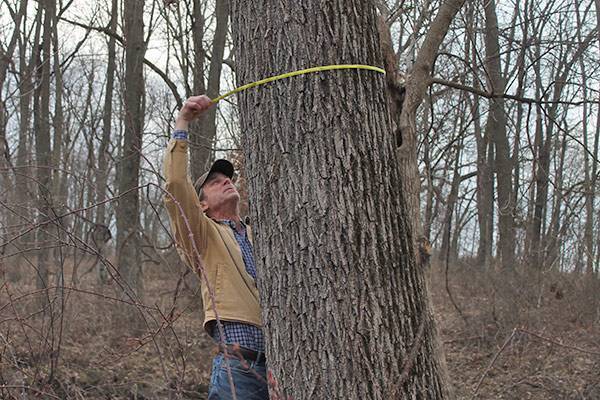 American Walnut Company