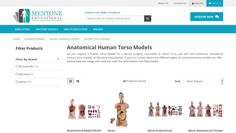 Anatomical Human Torso Models