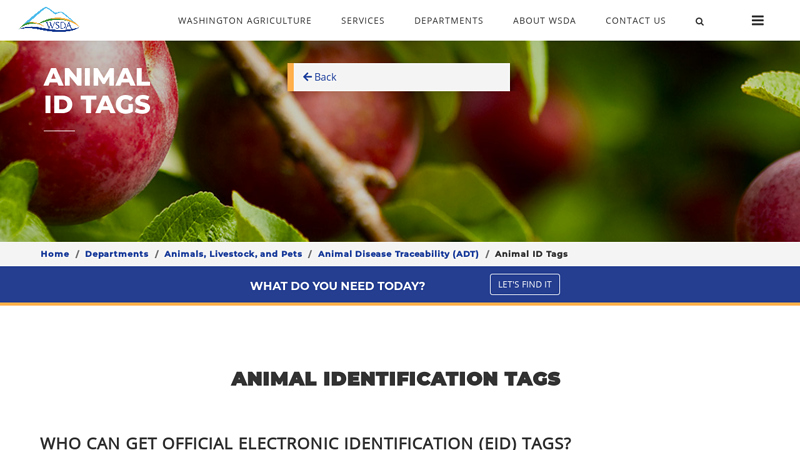 Animal ID Tags