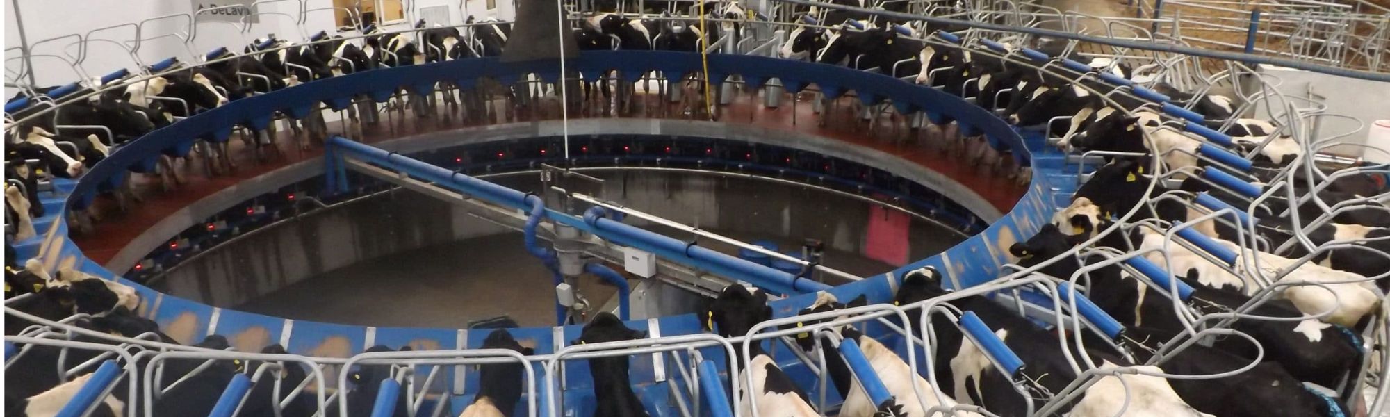 Applications of Ion Meters in Dairy and Milk Production Quality Control