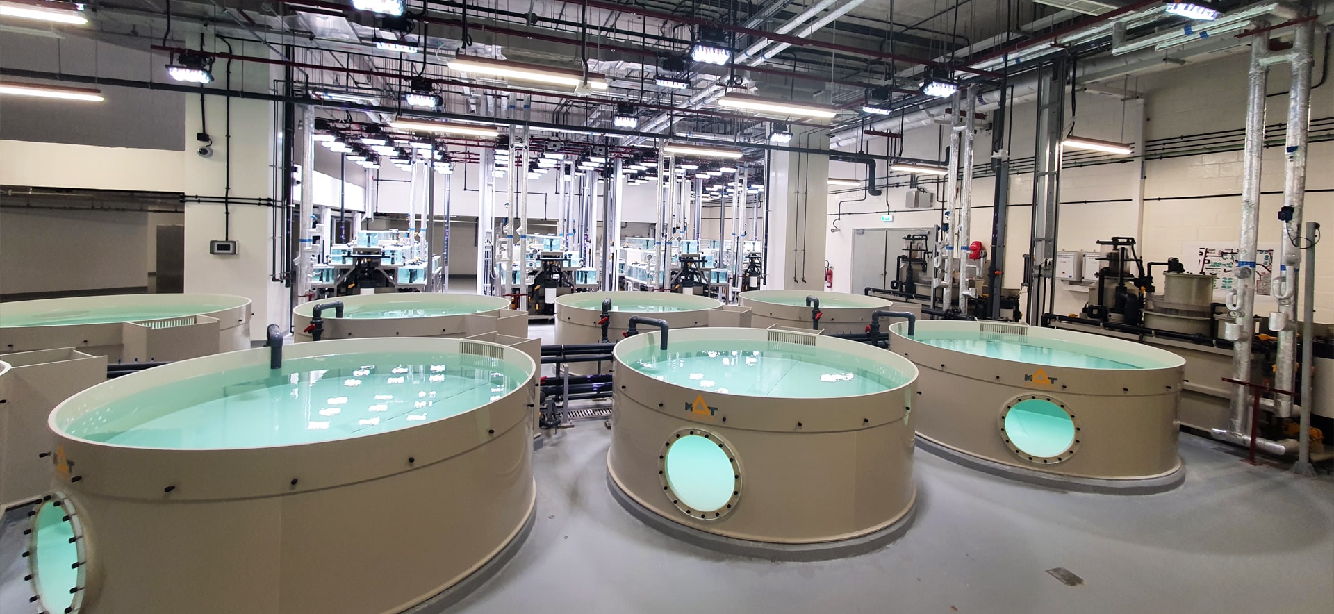 Aquaculture Supplies industry insight