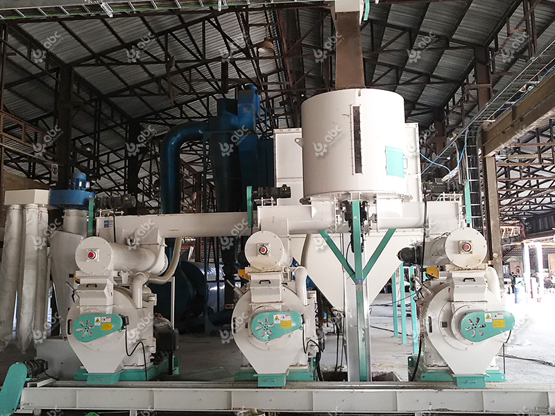 Argan Kernel Oil industry insight