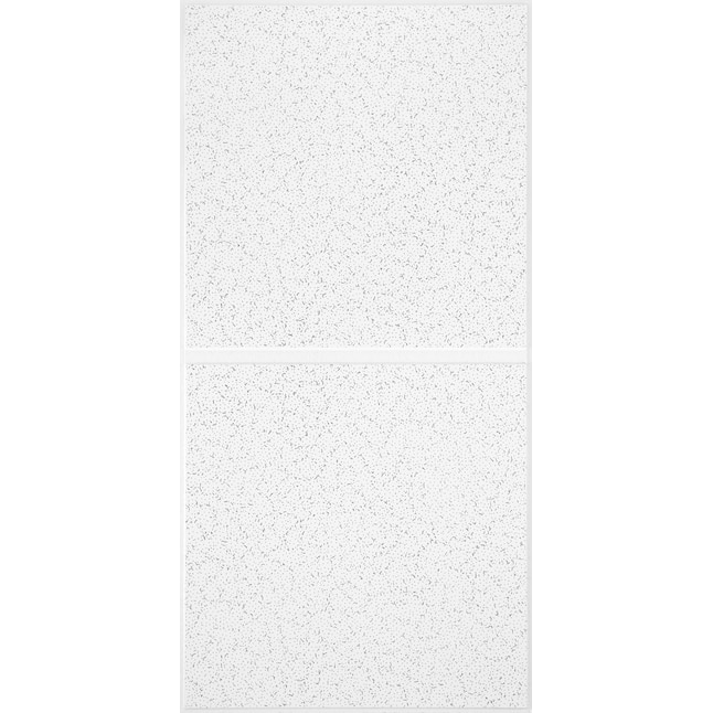 Armstrong Suspended Ceiling Tiles 2X4 industry insight