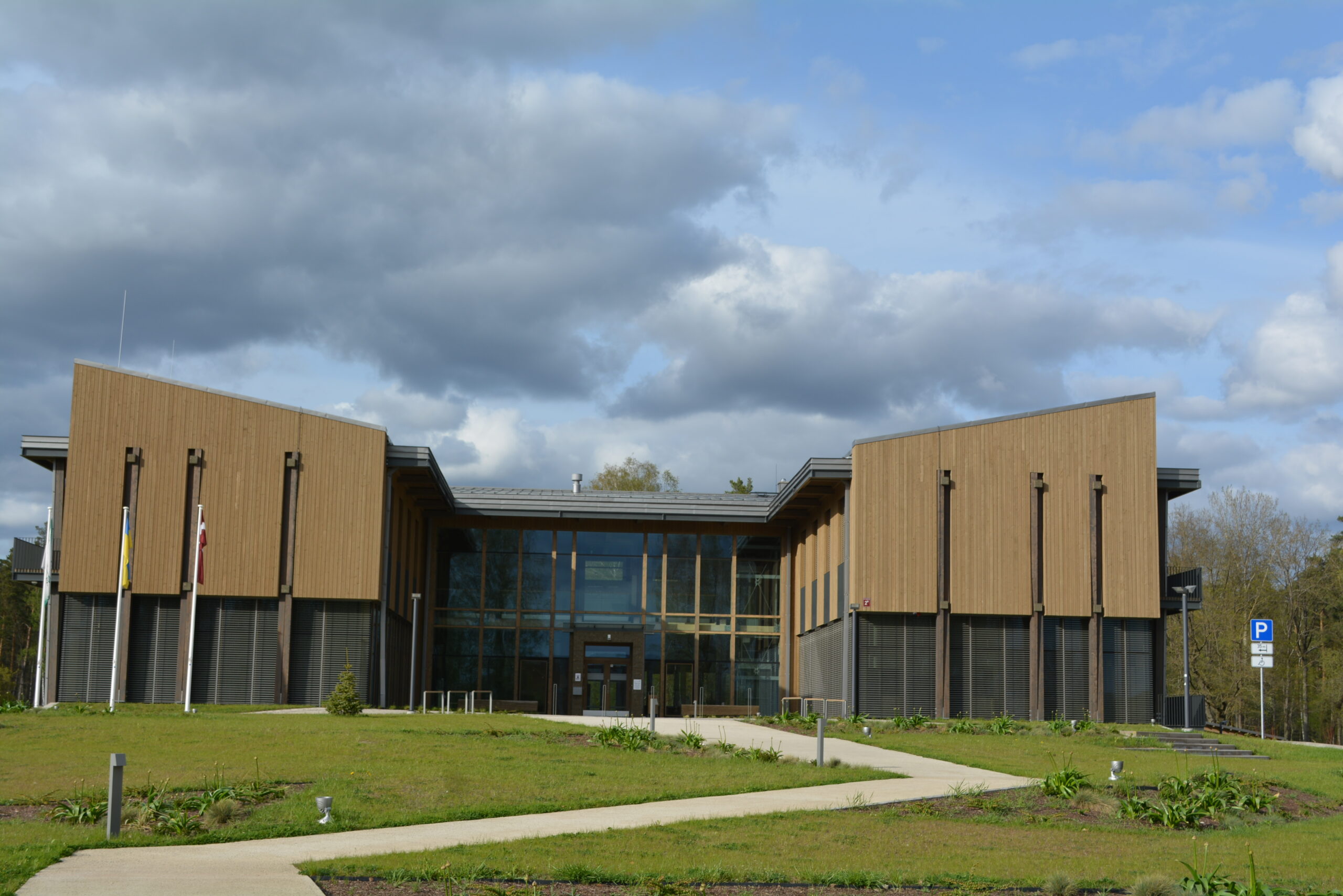 Baltic Birch Plywood