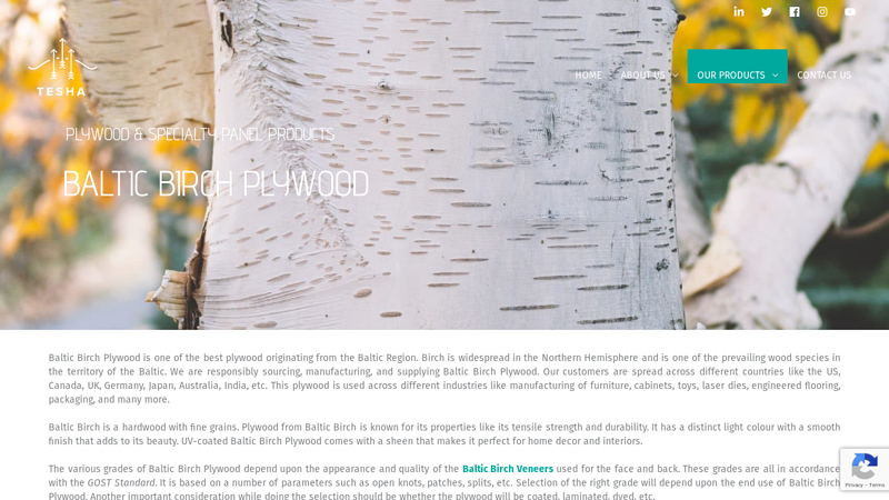 Baltic Birch Plywood Manufacturer & Supplier