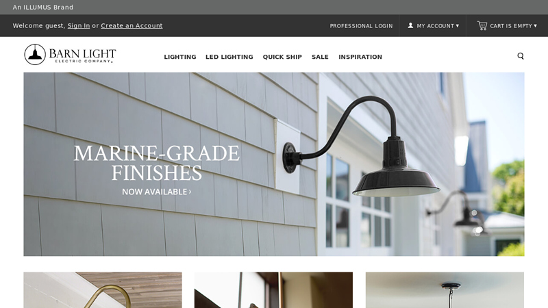 Barn Light Electric