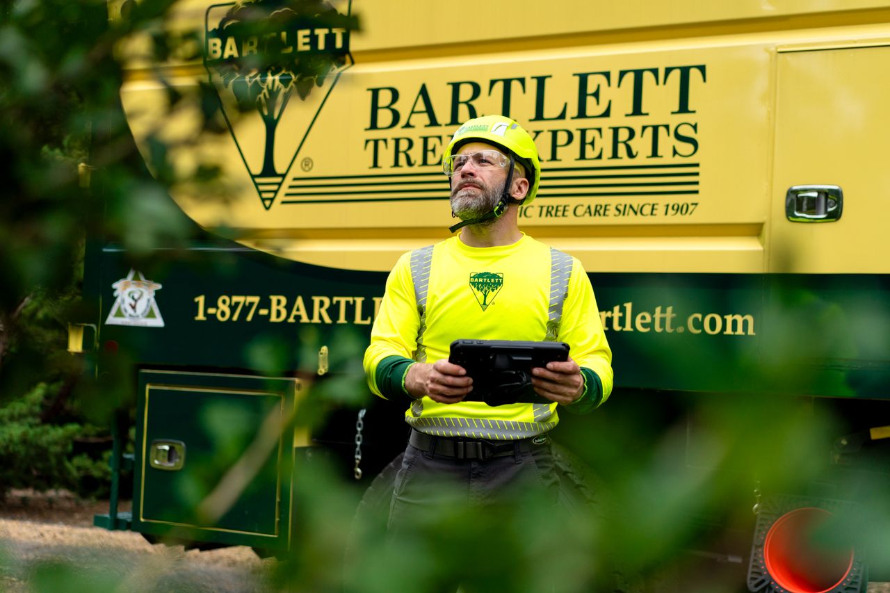 Bartlett Tree Experts