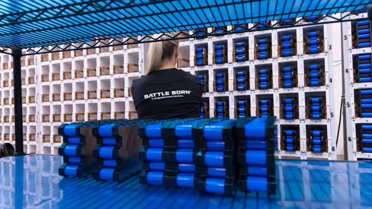Battle Born Batteries