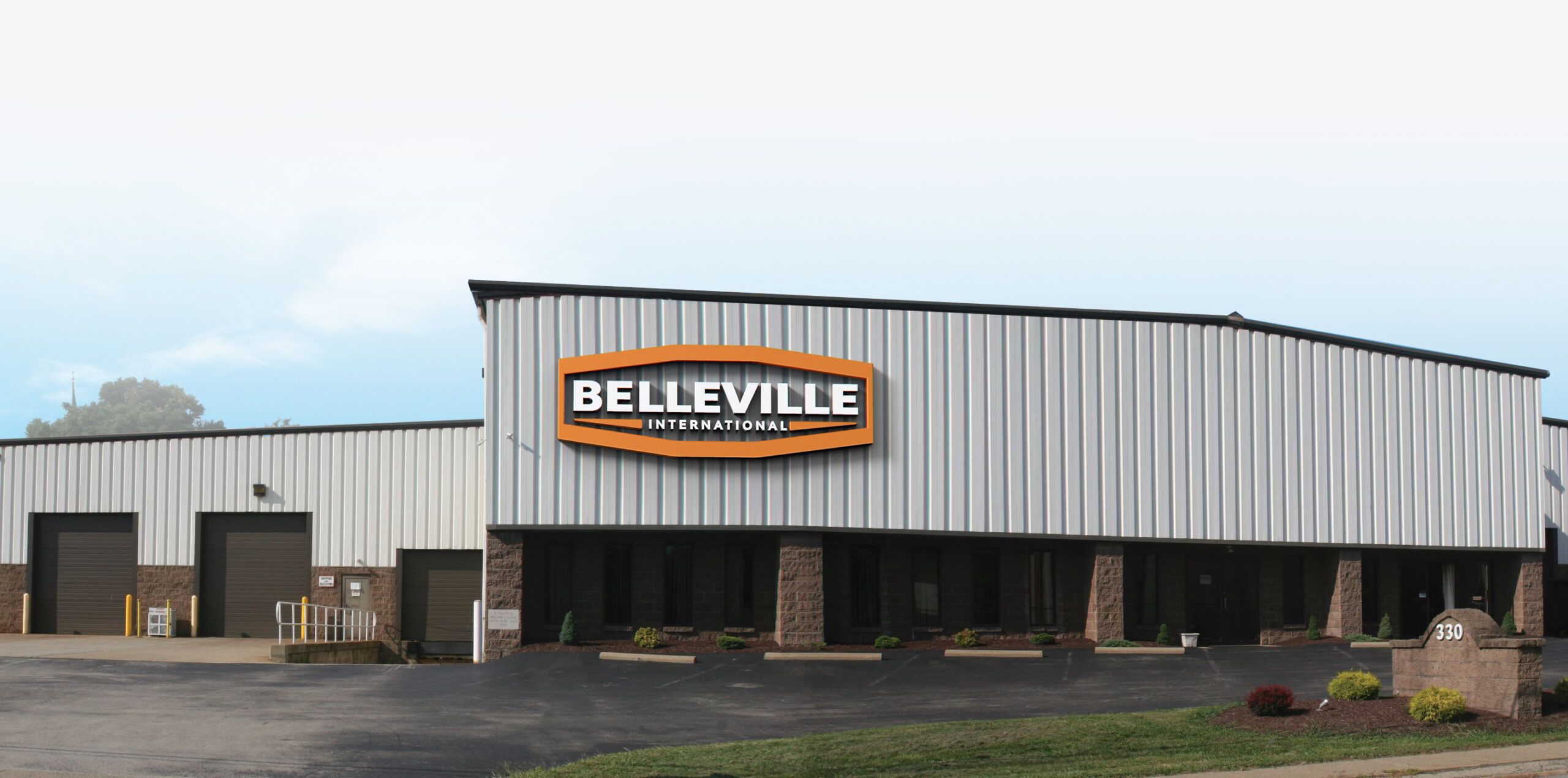 Belleville Flange Washers