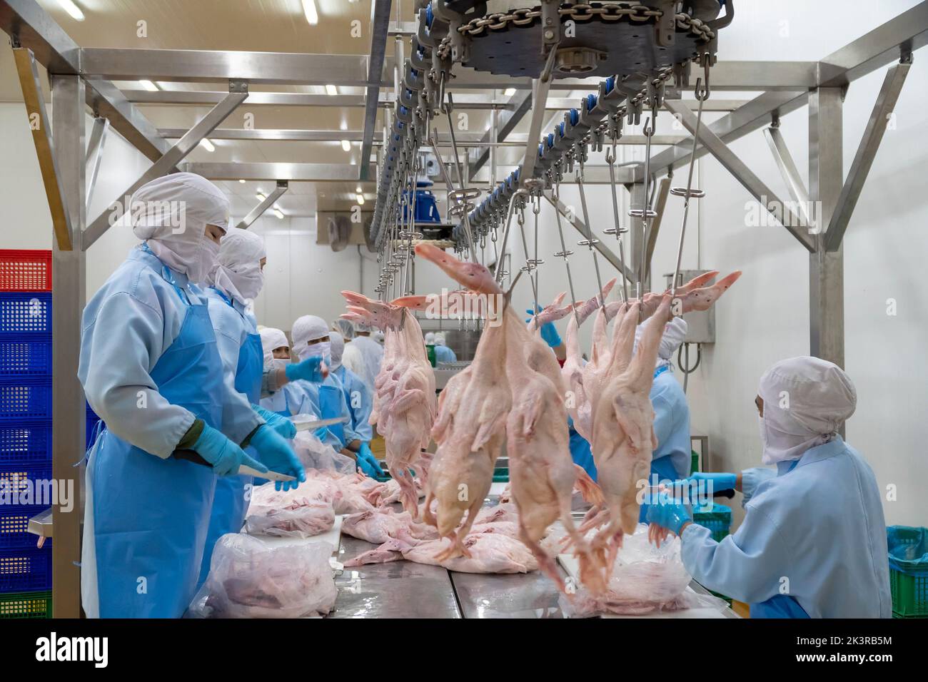 Belt With Hooks industry insight