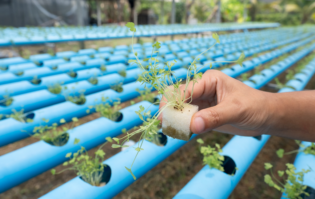 Best Pvc Hydroponic System Design Manufacturer