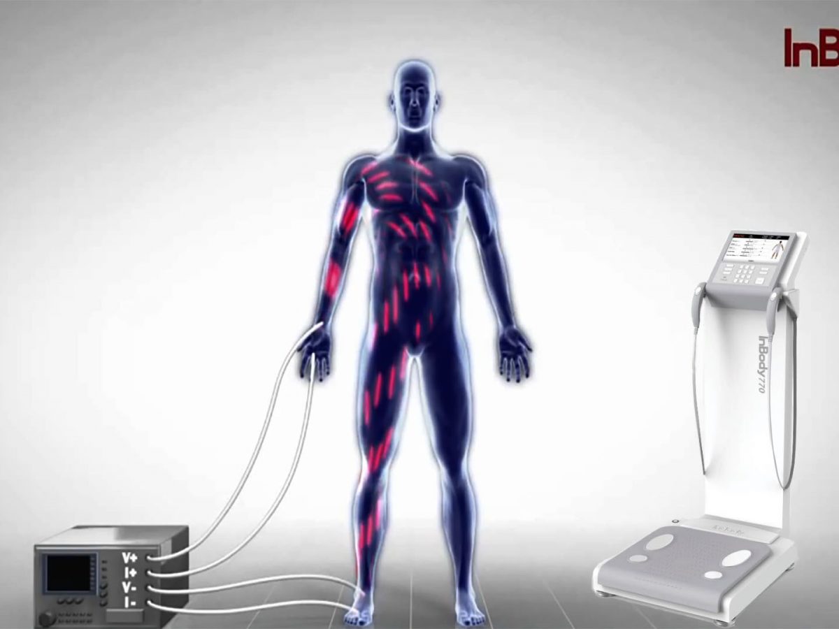 Bioelectrical Impedance Analysis (BIA) and Body Composition ...