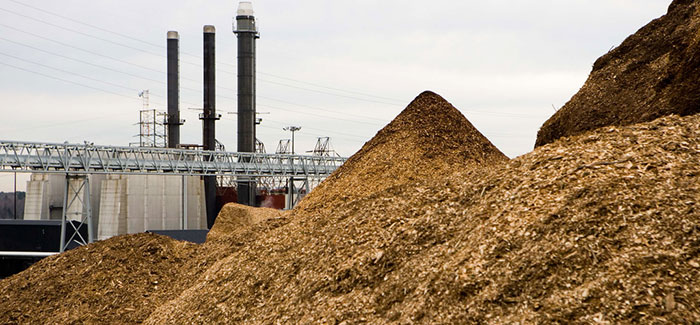 Biomass Briquettes / Bio Coal