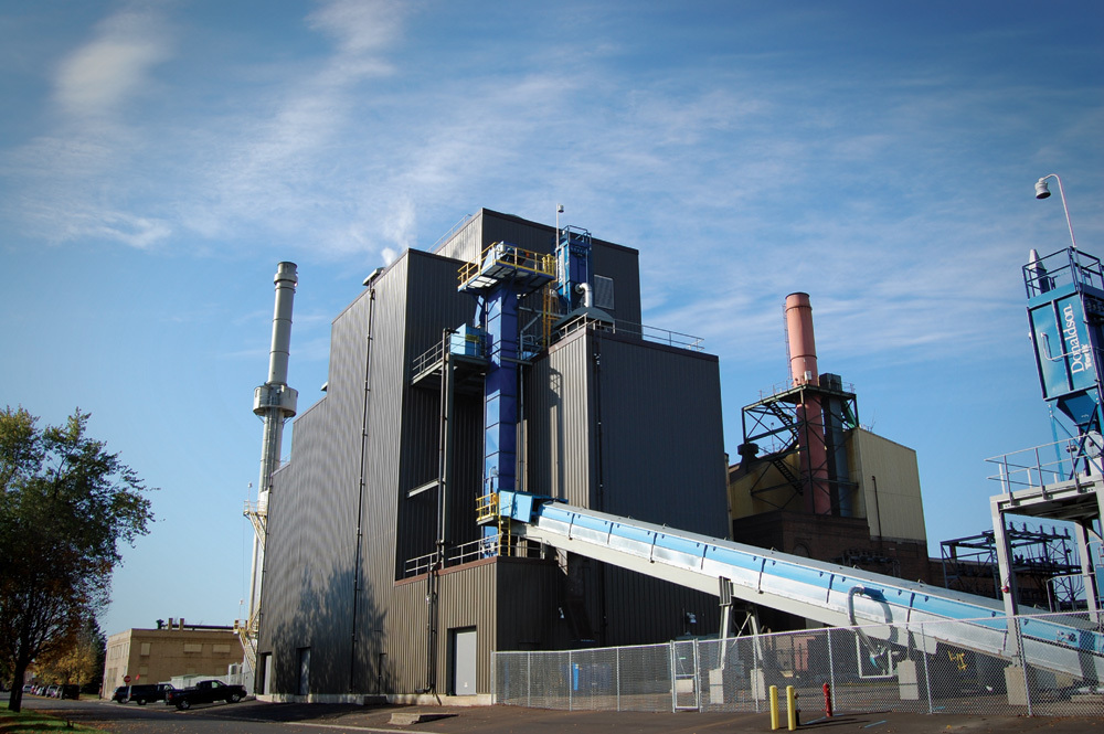 Biomass for Electricity Generation