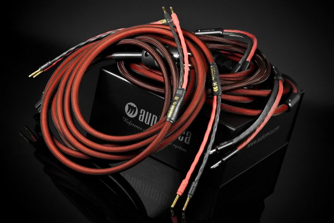 Black And Red Speaker Cable industry insight