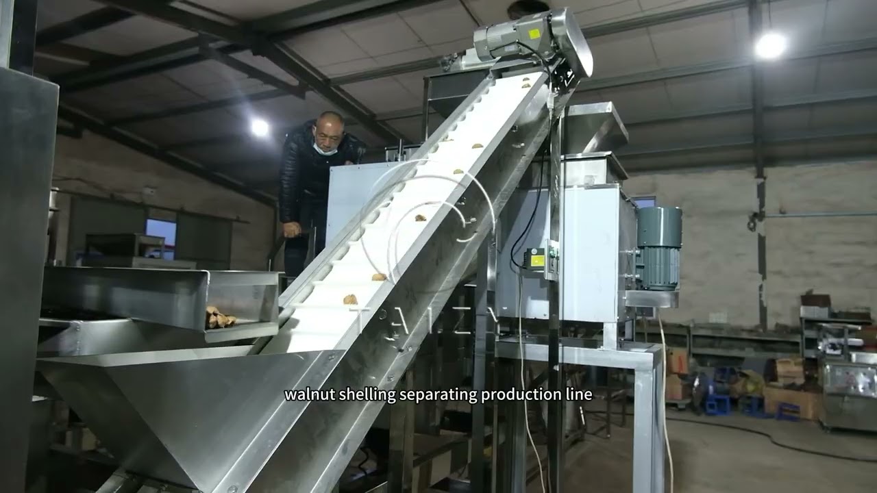 Black Walnut Cracking Machine industry insight