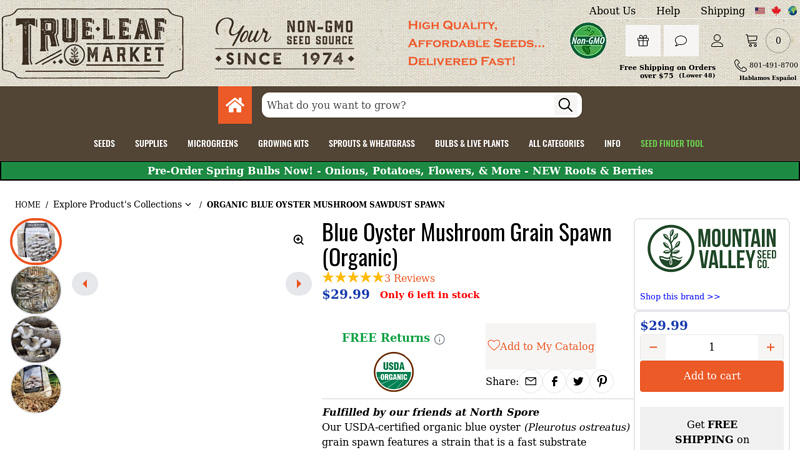 Blue Oyster Mushroom Grain Spawn (Organic)