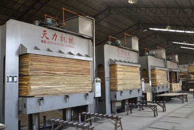 Bonded Plywood industry insight
