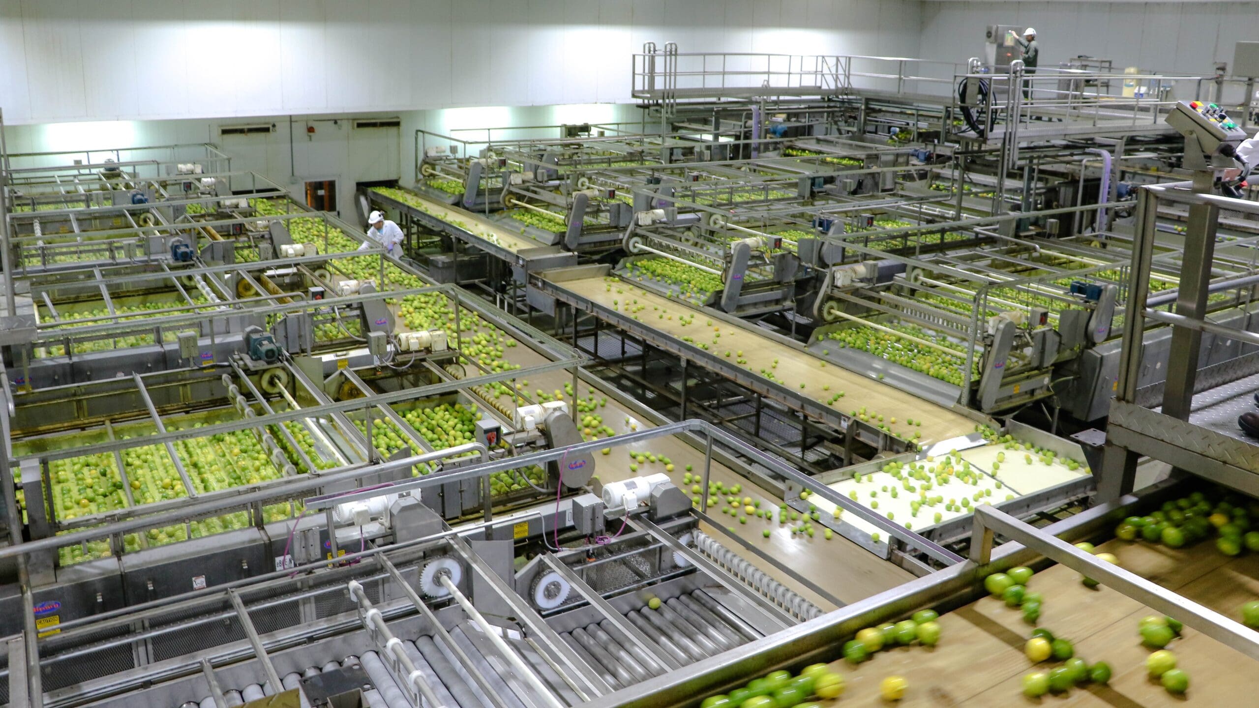 Boos Oil industry insight