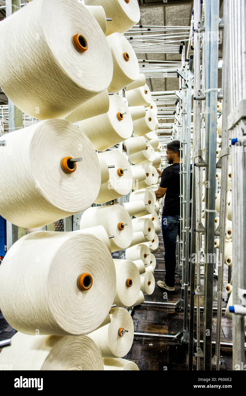 Brazilian Wool Yarn industry insight