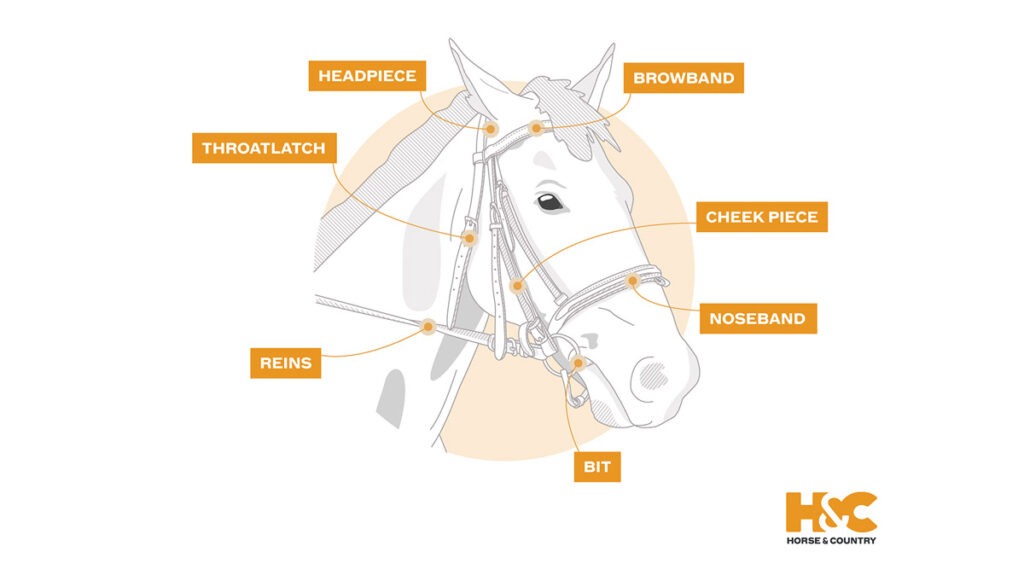 Bridle Parts Horse industry insight