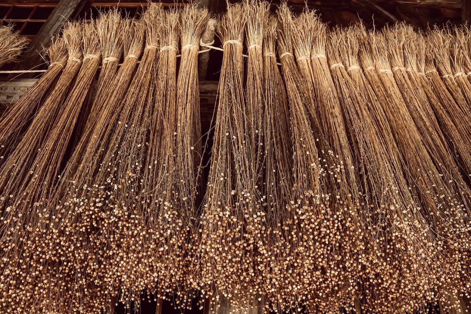 Brown Flax Seed industry insight